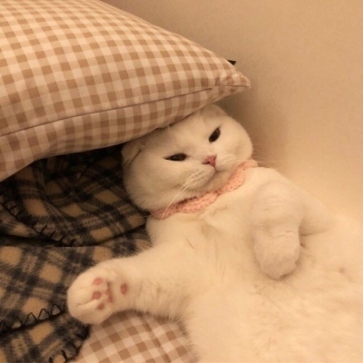 90后占比57% 小鹏X9拉低MPV用户年龄